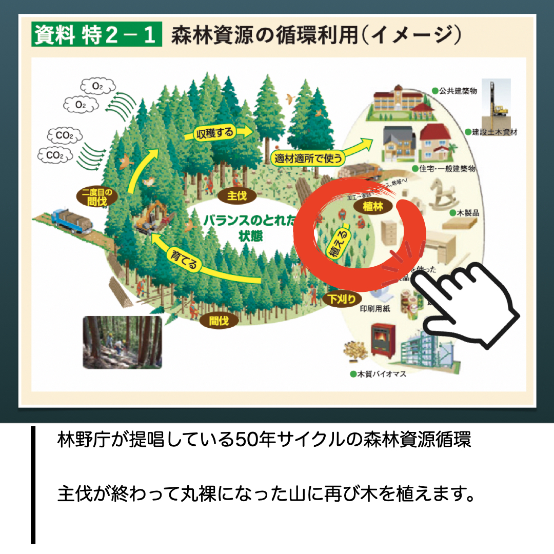 【林業作業紹介①】植林ってどんな作業? - こばけんの田舎開拓史