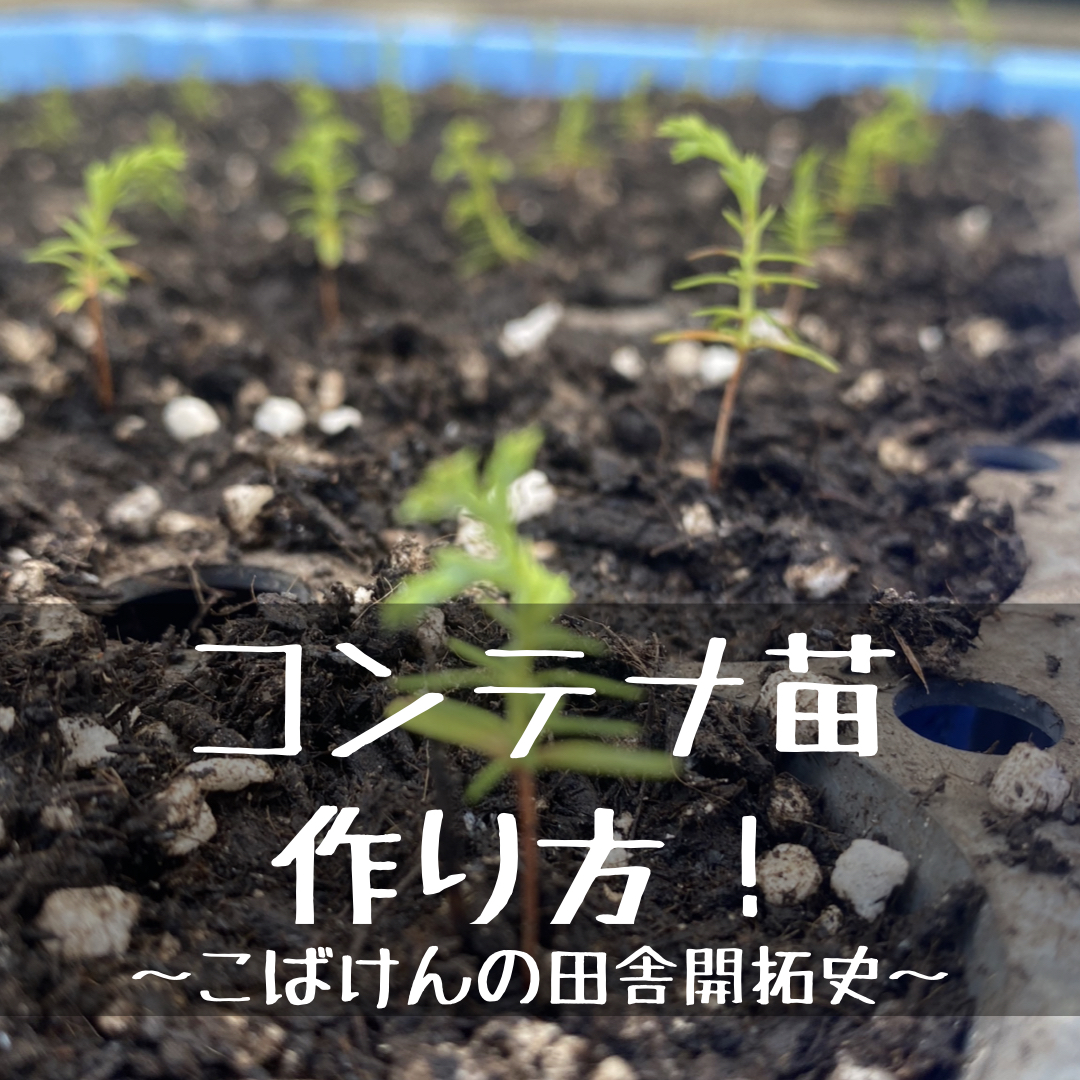 エコスギ 育て方 – エコスギとは | エコスギ 育て方の動画 – REBIE