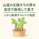 山菜の王様タラの芽を自宅で栽培して食す