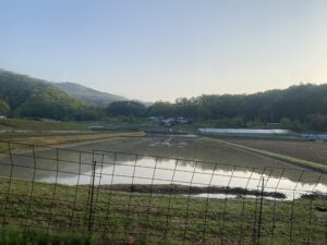 田舎の風景