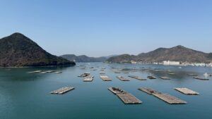 里海日生の牡蠣筏