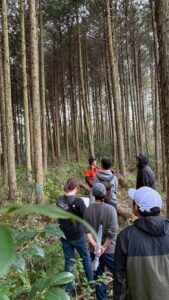 里山北房の人工林