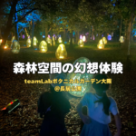 森林空間の幻想体験