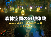 森林空間の幻想体験