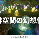 森林空間の幻想体験