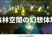 森林空間の幻想体験