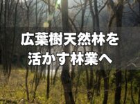広葉樹天然林を生かす林業へ