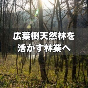 広葉樹天然林を生かす林業へ
