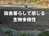 田舎暮らしで感じる生物多様性