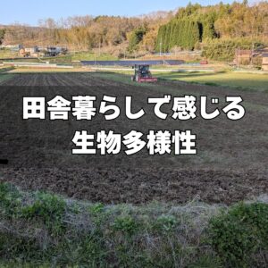 田舎暮らしで感じる生物多様性